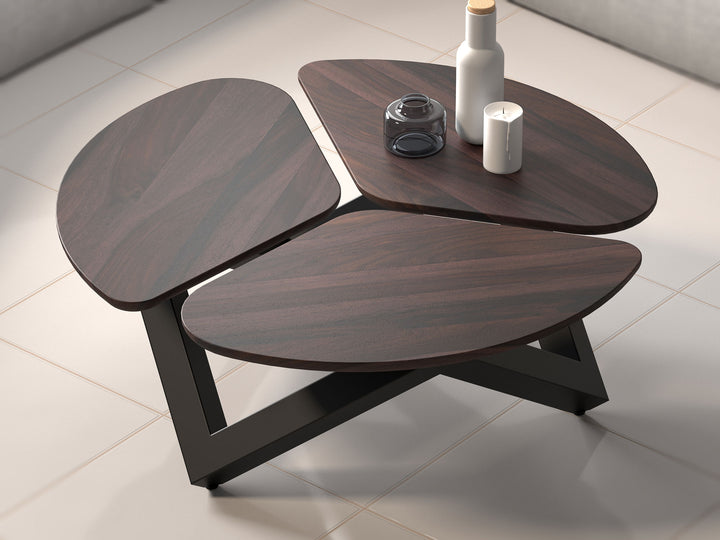 Coffee table, solid sheesham wood and steel