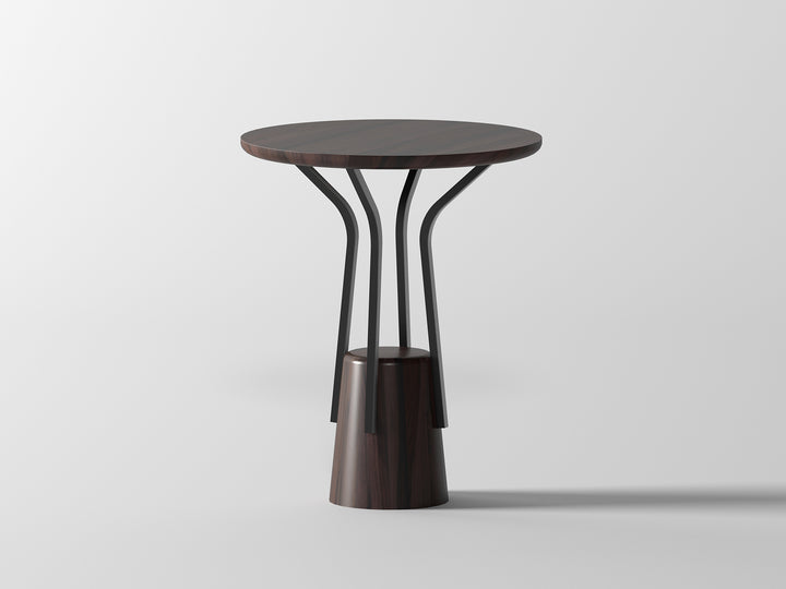 Side table made of solid sheesham wood and carbon steel