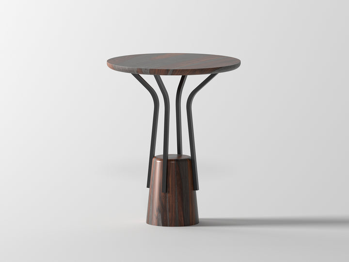 Side table made of solid sheesham wood and carbon steel